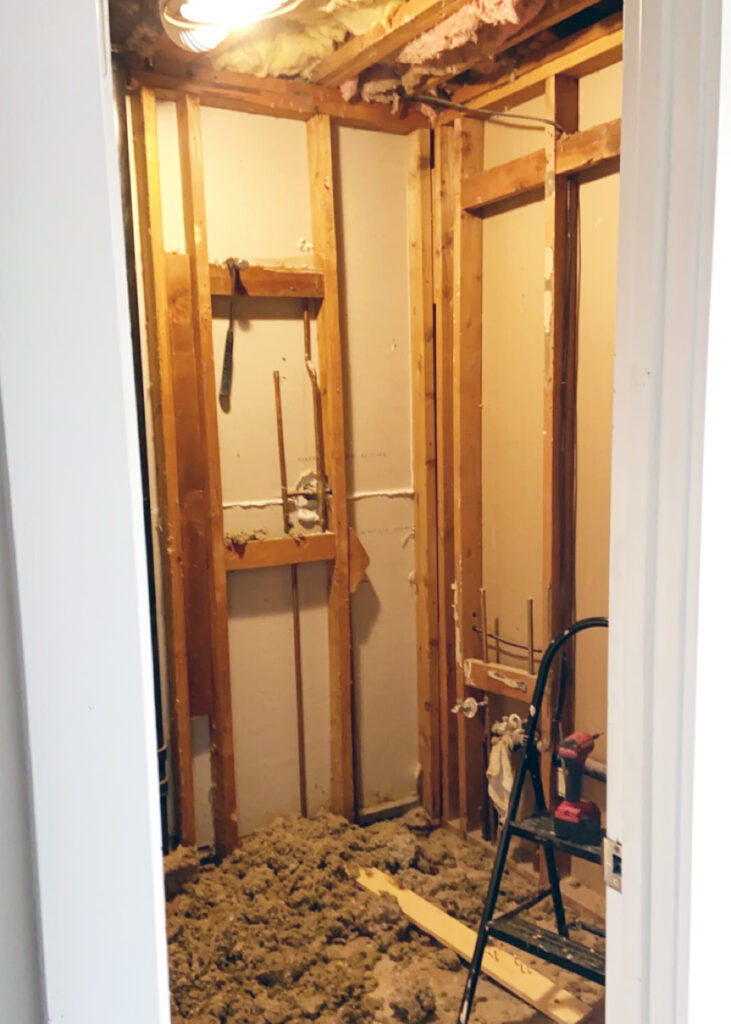 Bathroom Reno Demo