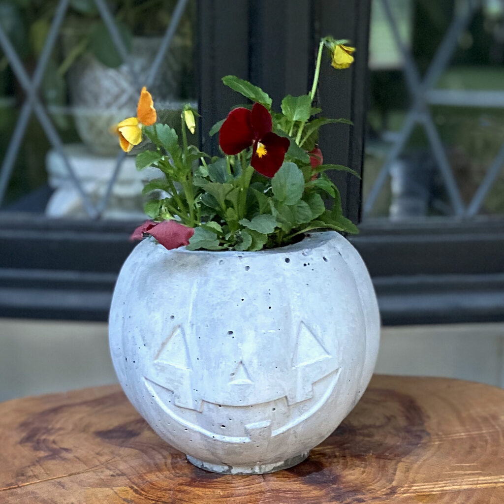 How To Make a Concrete Jack O'Lantern Planter - Cali Girl In A Southern  World