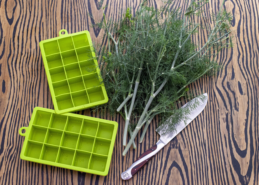 How to save fresh dill