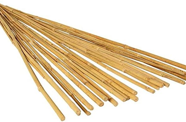 4' Bamboo Garden Stakes