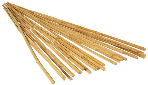 6' Bamboo Garden Stakes