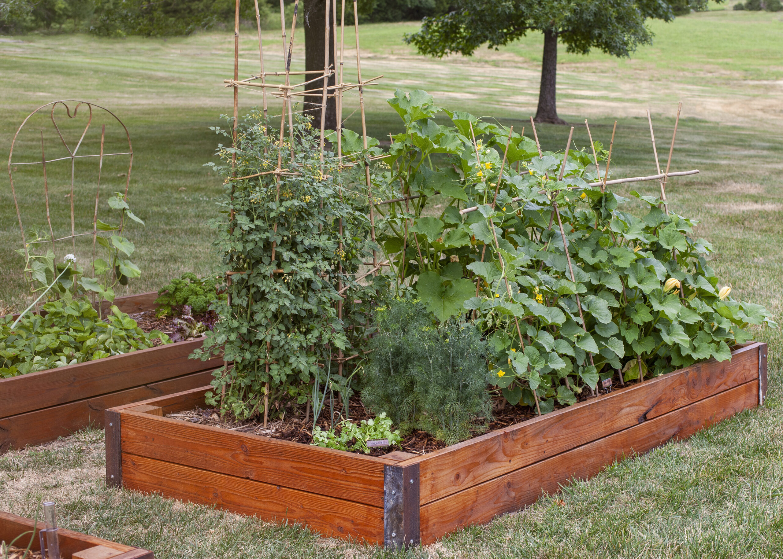 Raised Garden Beds 