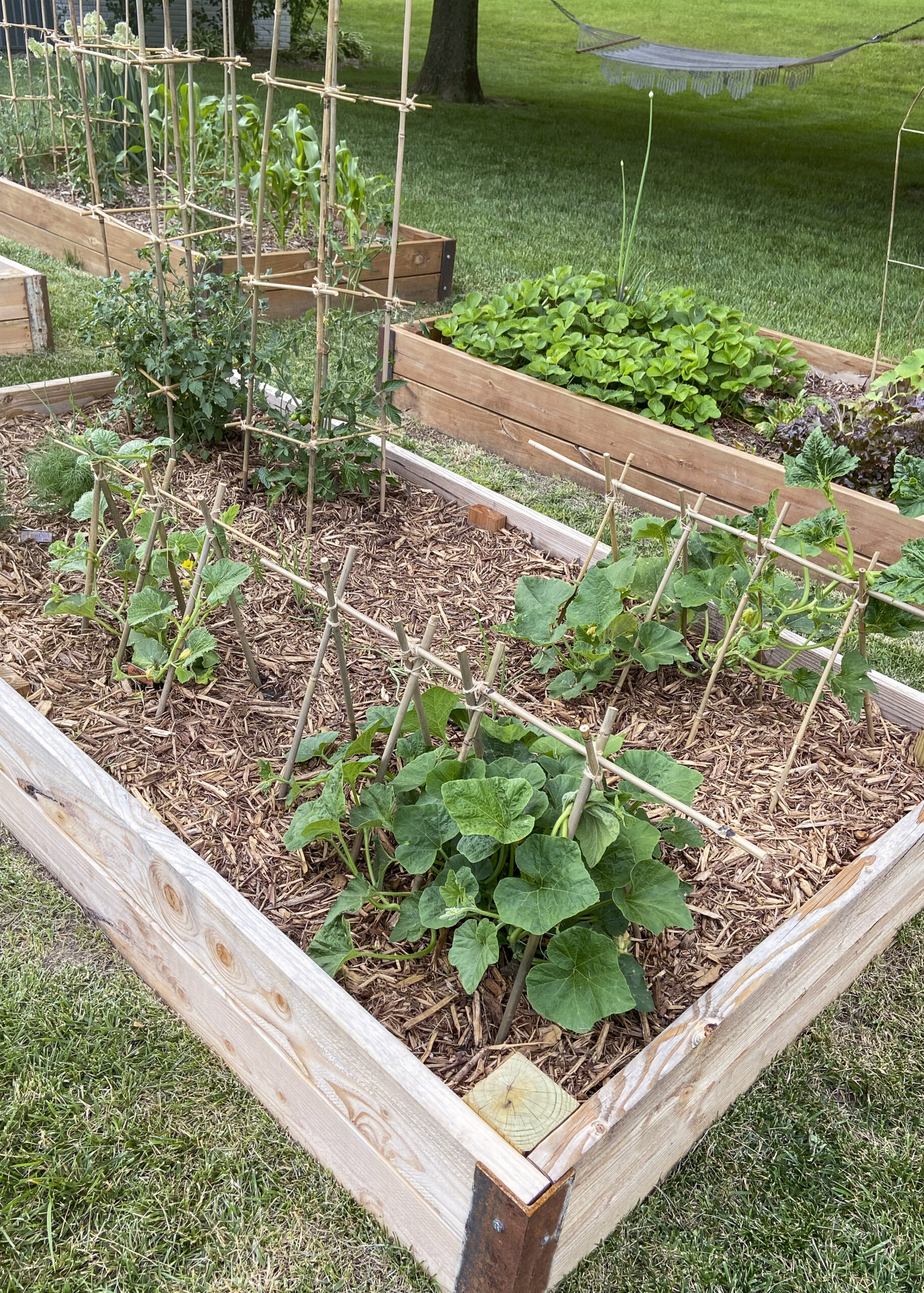 DIY BAMBOO GARDEN TRELLISES - It's Me, ChristyB