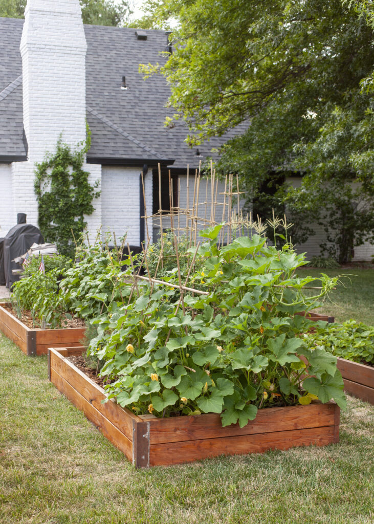 Finished DIY Raised Garden Beds