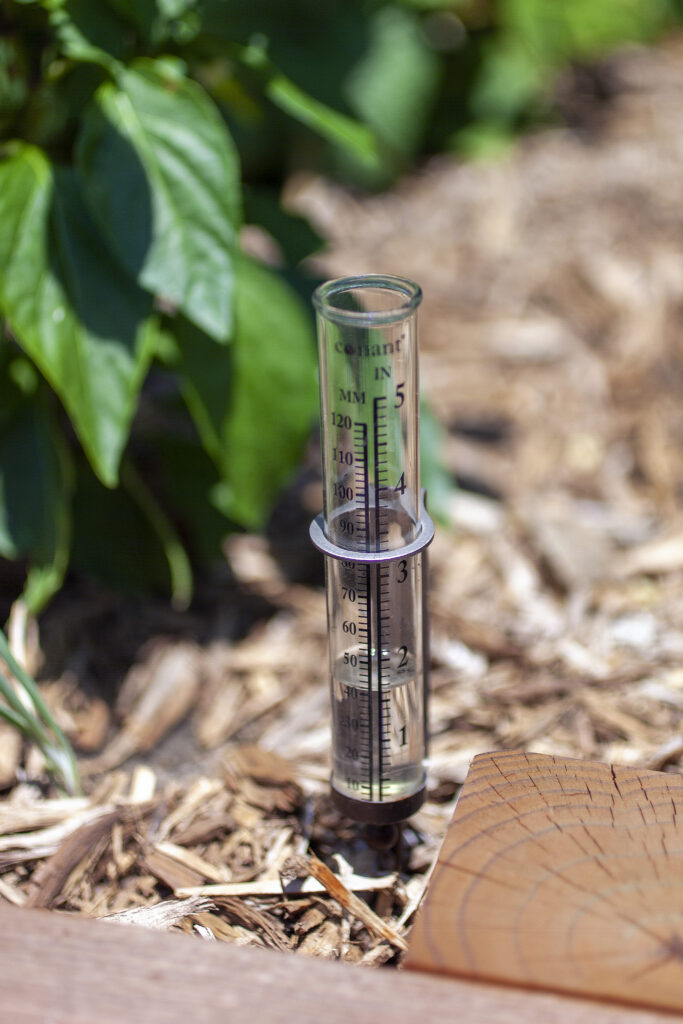 Garden Rain Gauge