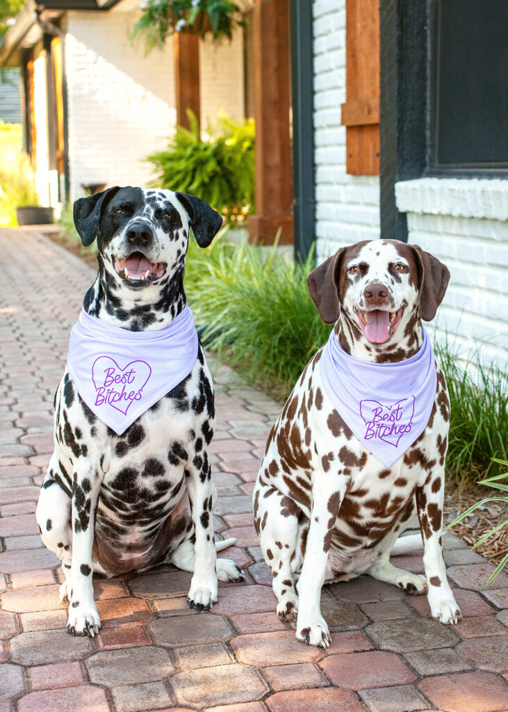 Best-Bitches | Ripley and Rue Bandanas