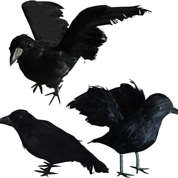 Black Crows Halloween