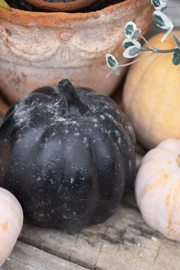 DIY Spray Painted Aged Pumpkin