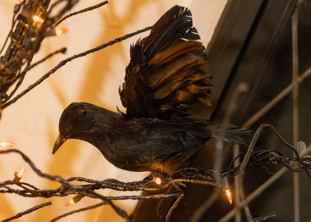 Halloween Porch 2022 - Crow