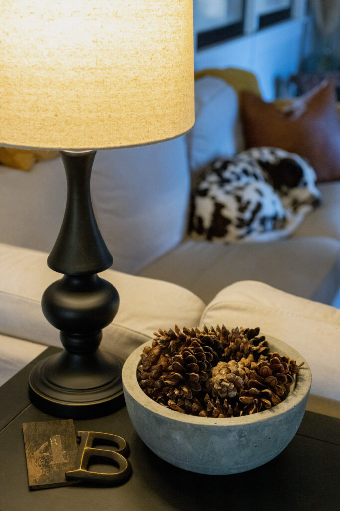 Bowl of Pinecones