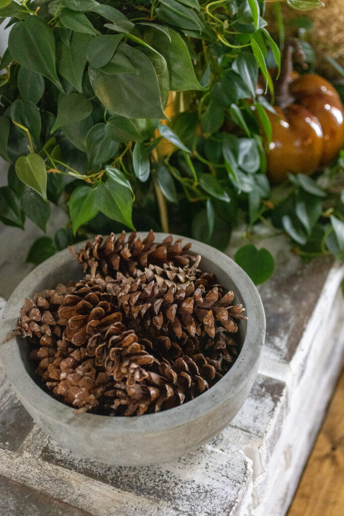 Concrete Bowl Pinecones