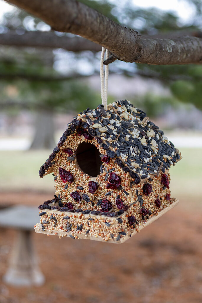 Birdseed Birdhouse