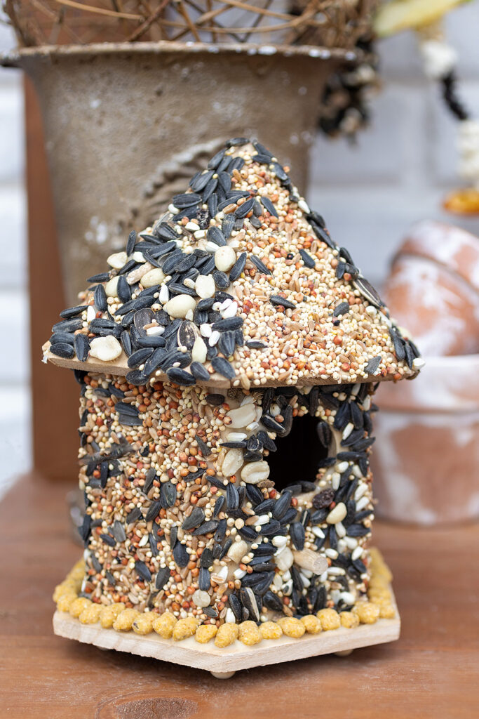 Edible Birdhouse