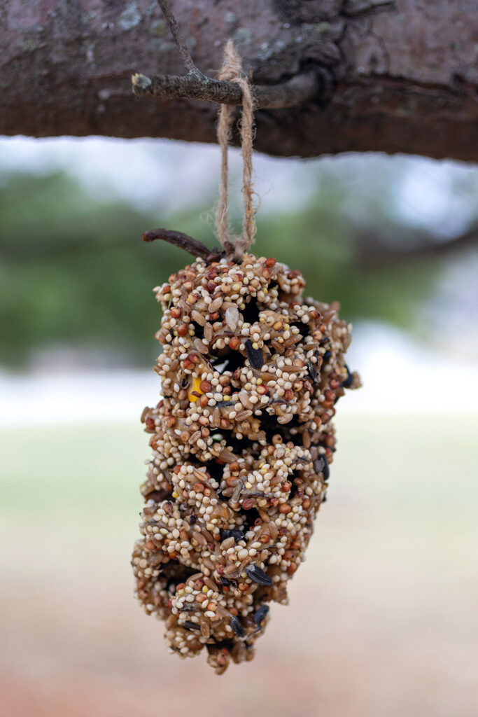 DIY Peanut Butter Birdseed Pinecones