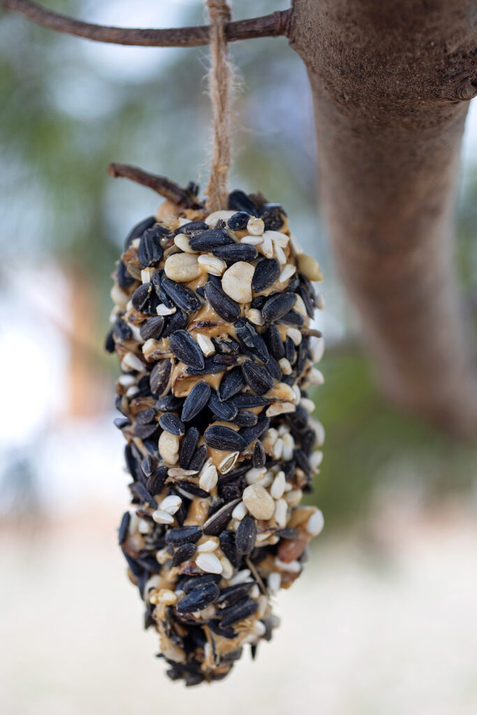 Peanut Butter Birdseed Pinecones