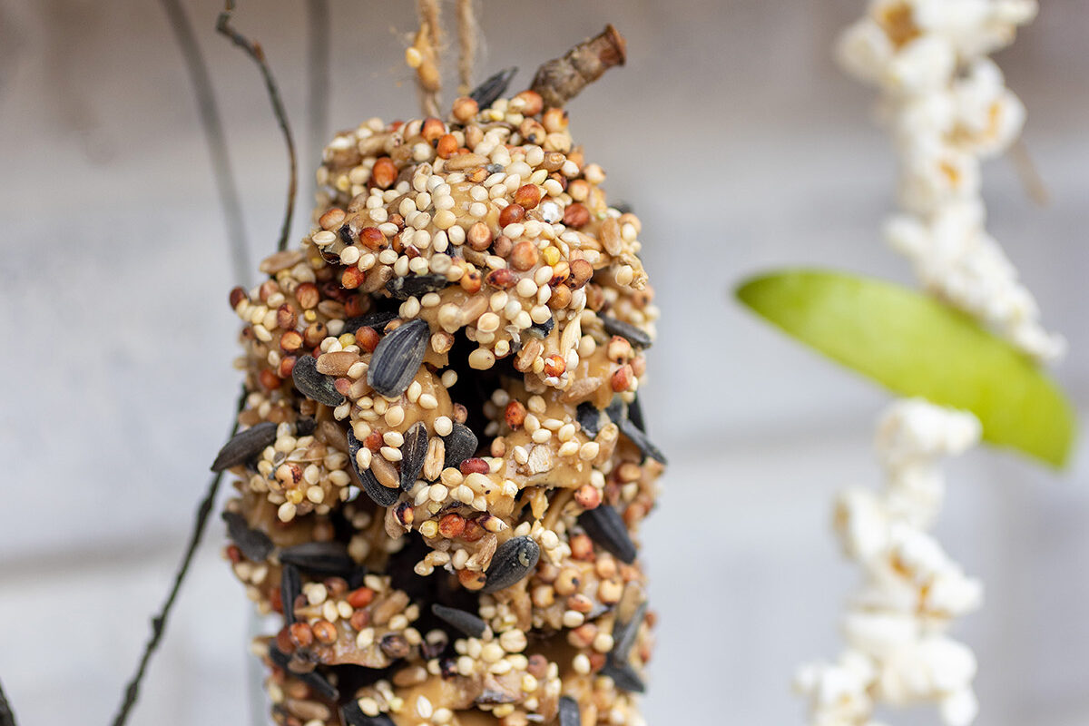 Peanut Butter Birdseed Pinecones: How-To