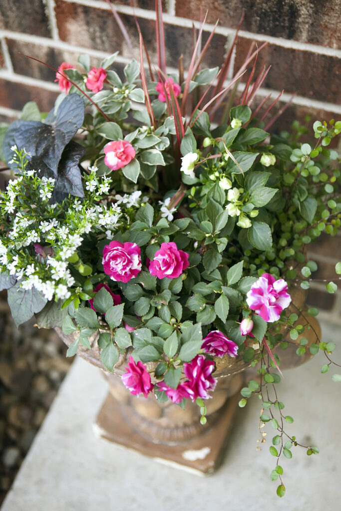 ChristyB: Old House Flower Pots