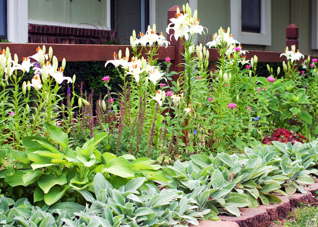 ChristyB: Old House Front Yard In Bloom