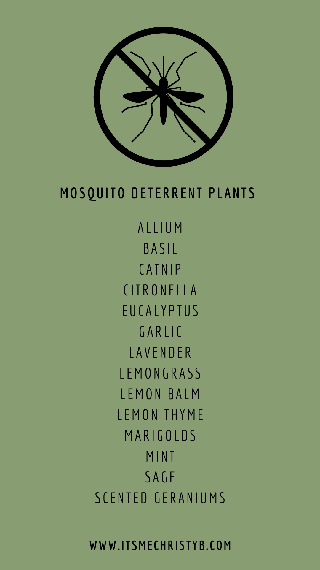 Mosquito Deterrent Plant List