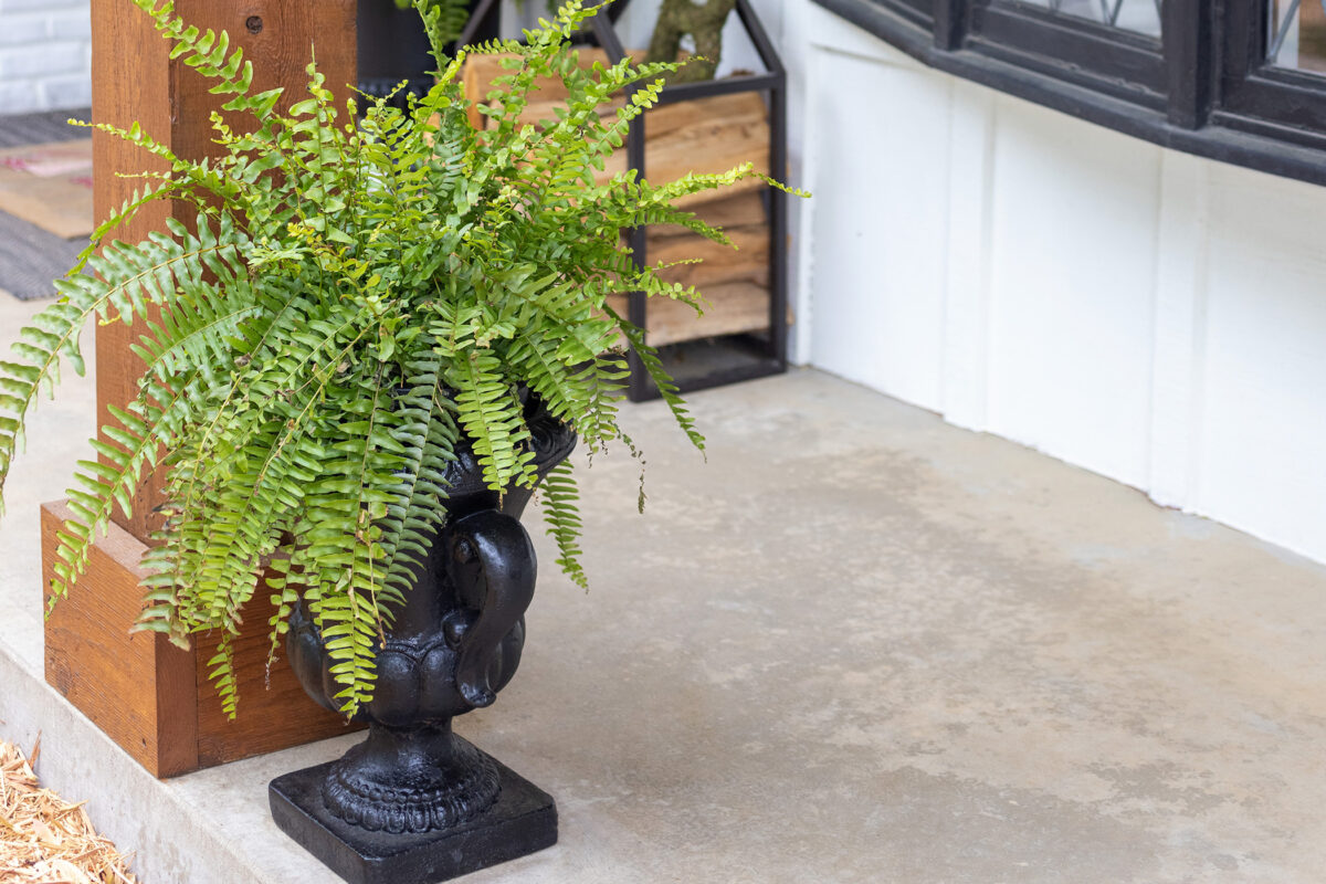 Spray Painted Planters