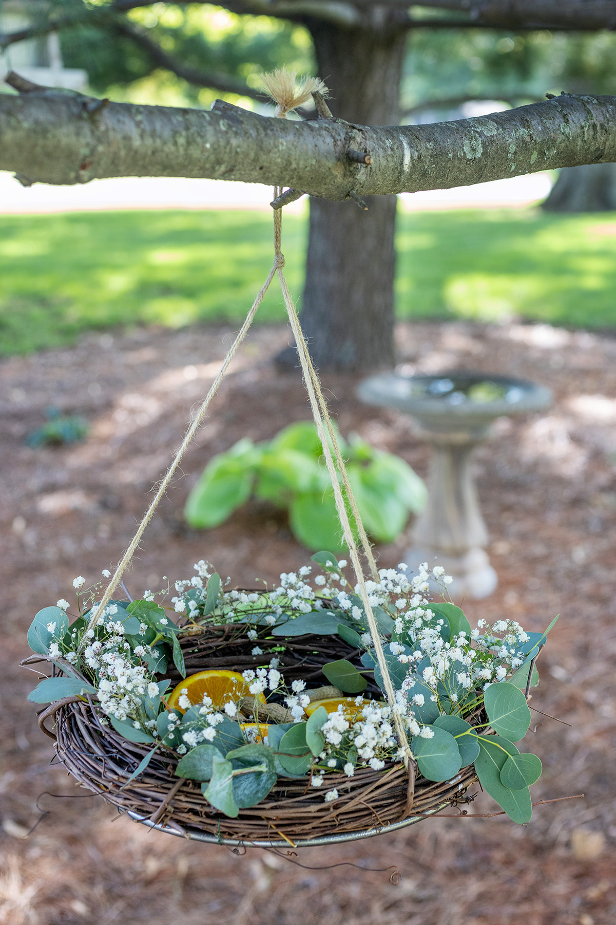 Spring Grapevine Wreath Bird Feeder - It's Me, Christyb