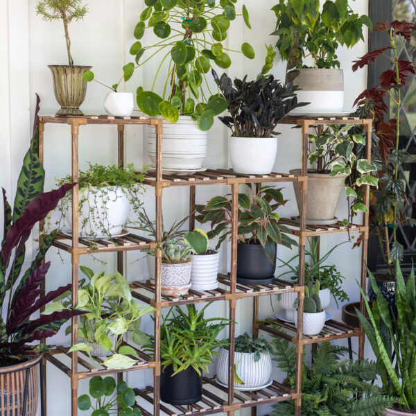 Front Porch Plant Shelf