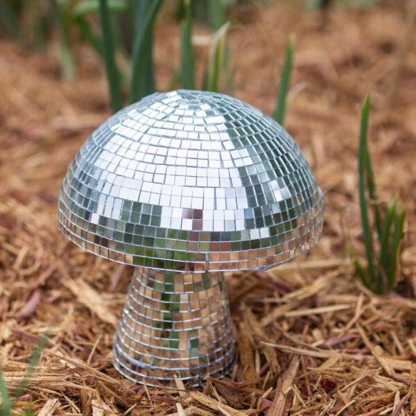 Garden Disco Mushrooms
