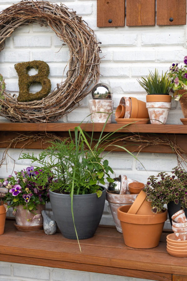 Summer Annuals Potting Bench