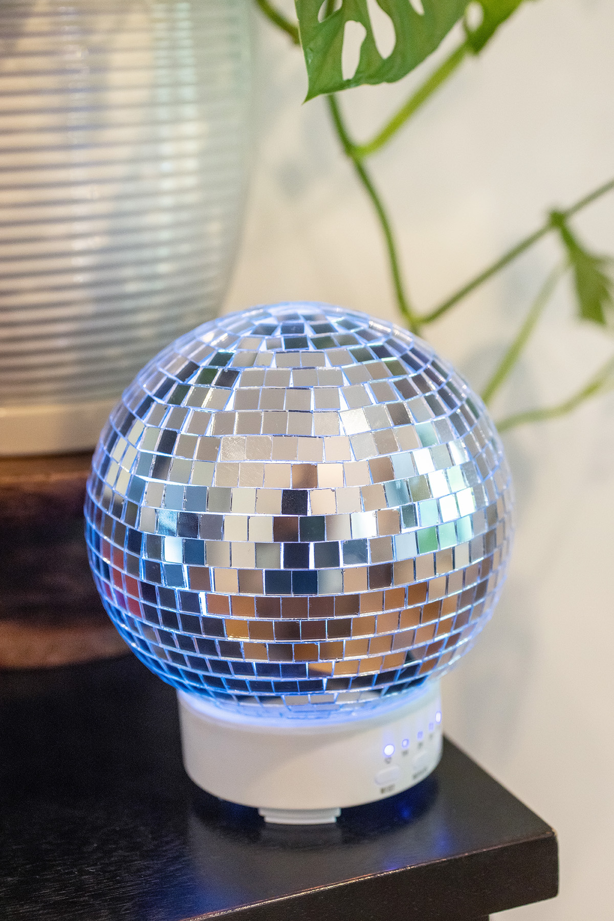 Disco ball Diffuser Humidifier Pink or Silver — Stayin' Alive Succulents