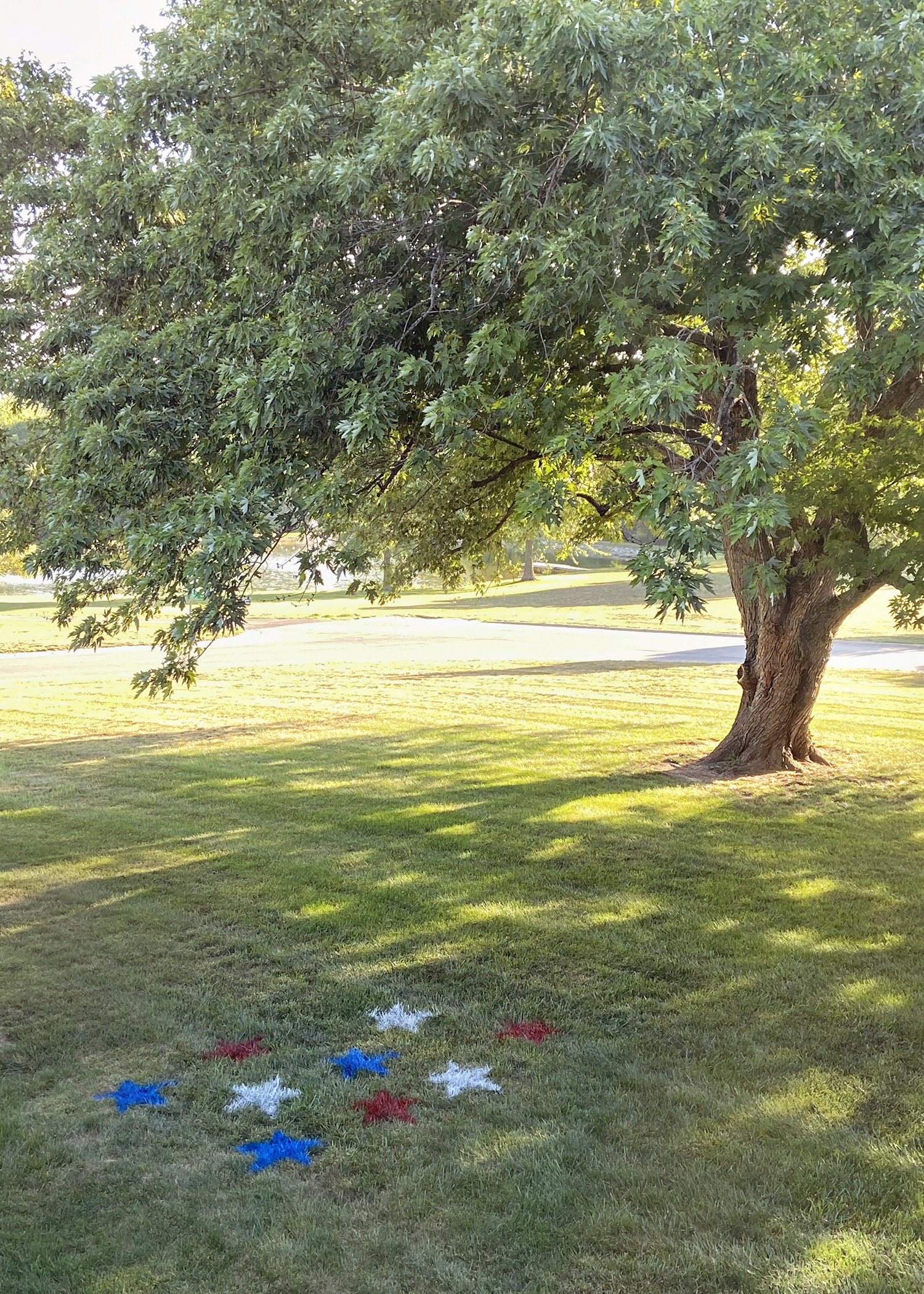 Red, White & Blue Yard Stars