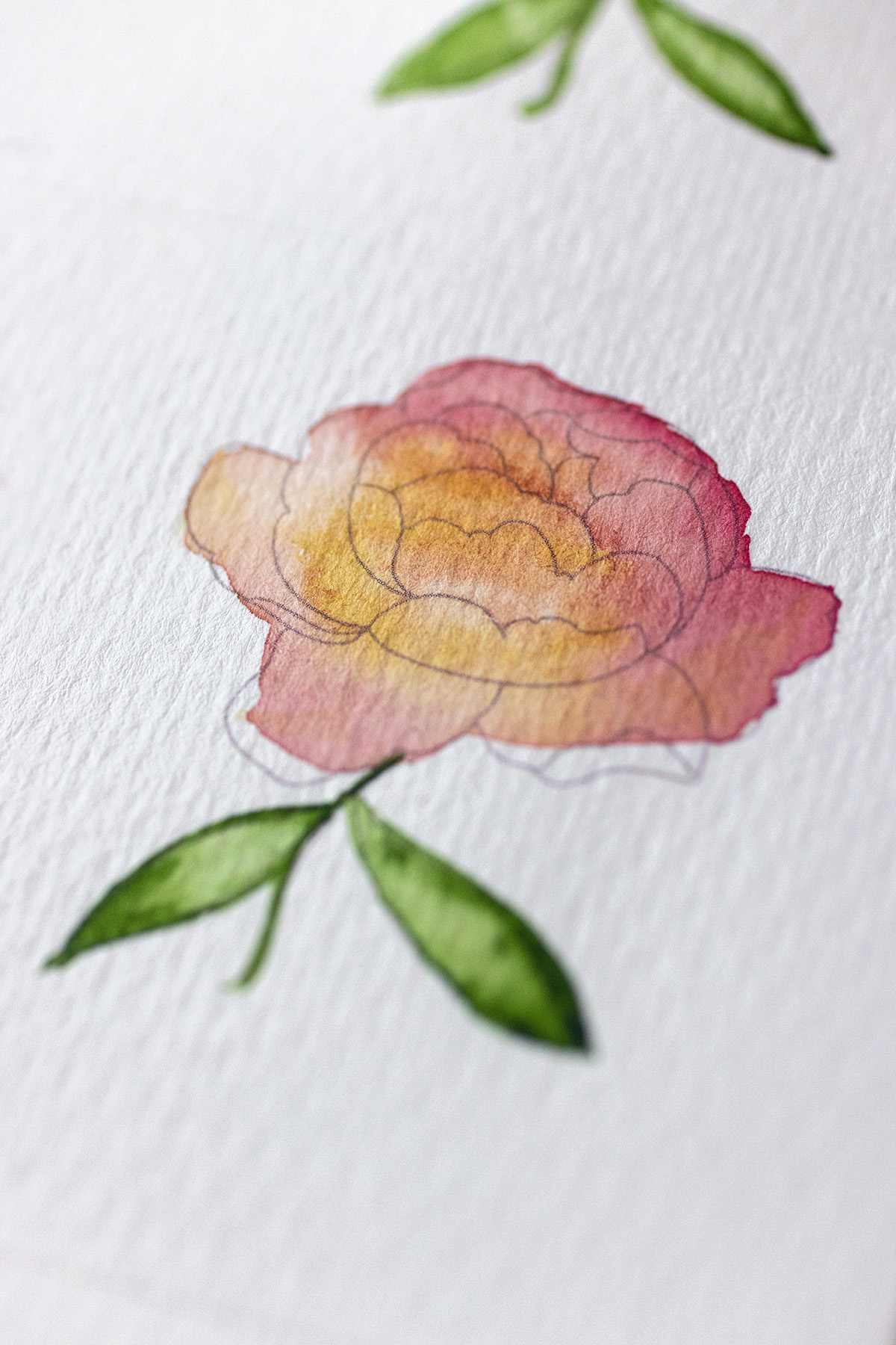 Watercolor Flowers