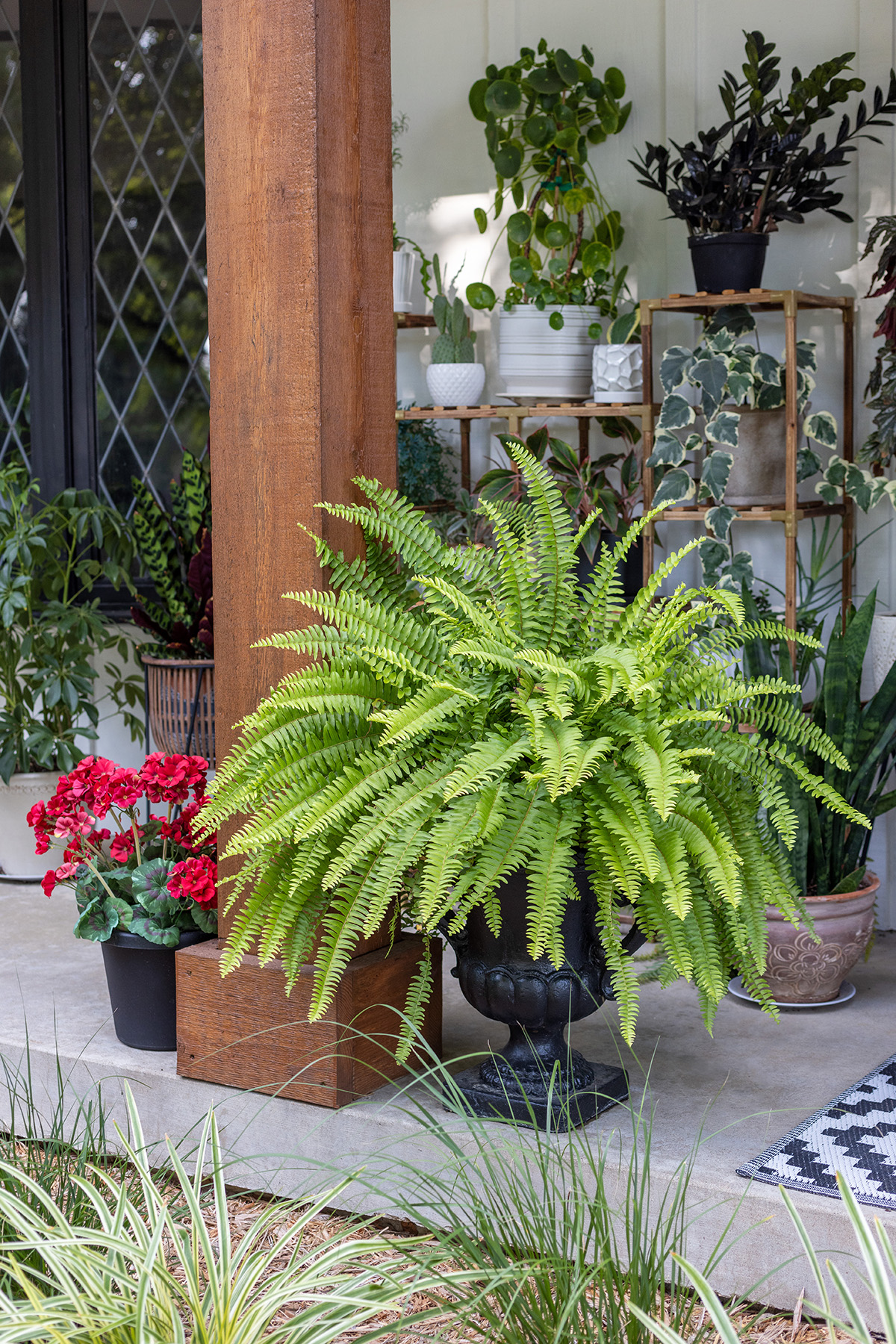 ChristyB | Front Porch Ferns - Midsummer