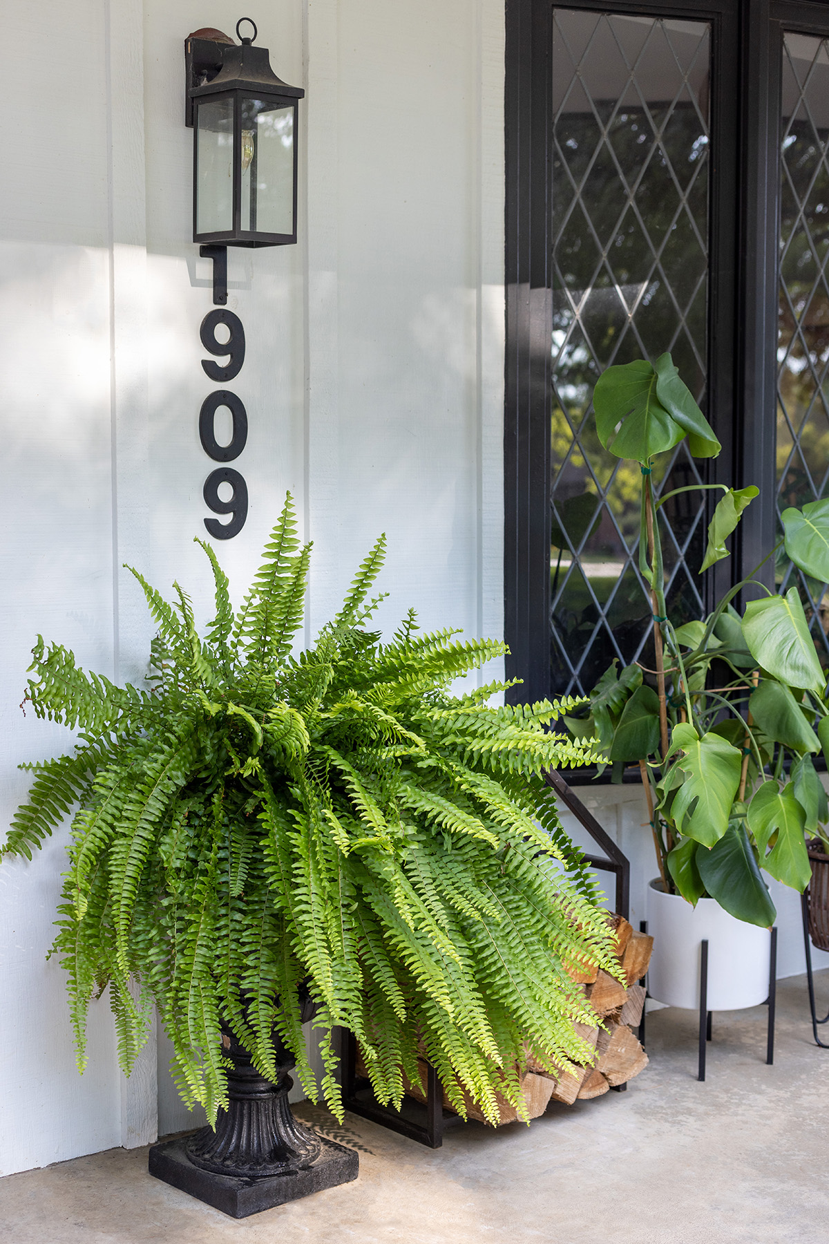 ChristyB | Front Porch Summer Fern