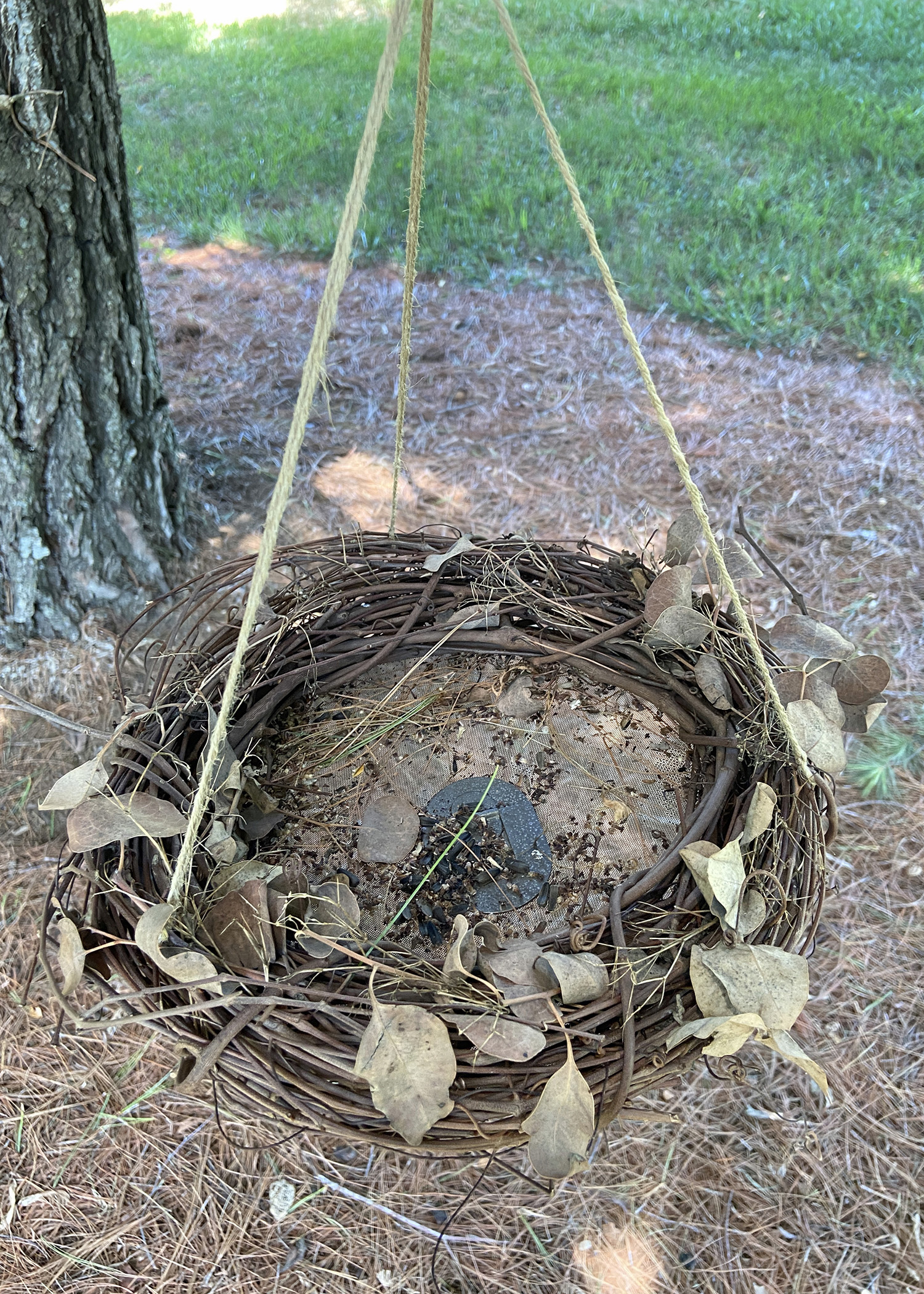 Old Spring Grapevine Wreath Bird Feeder