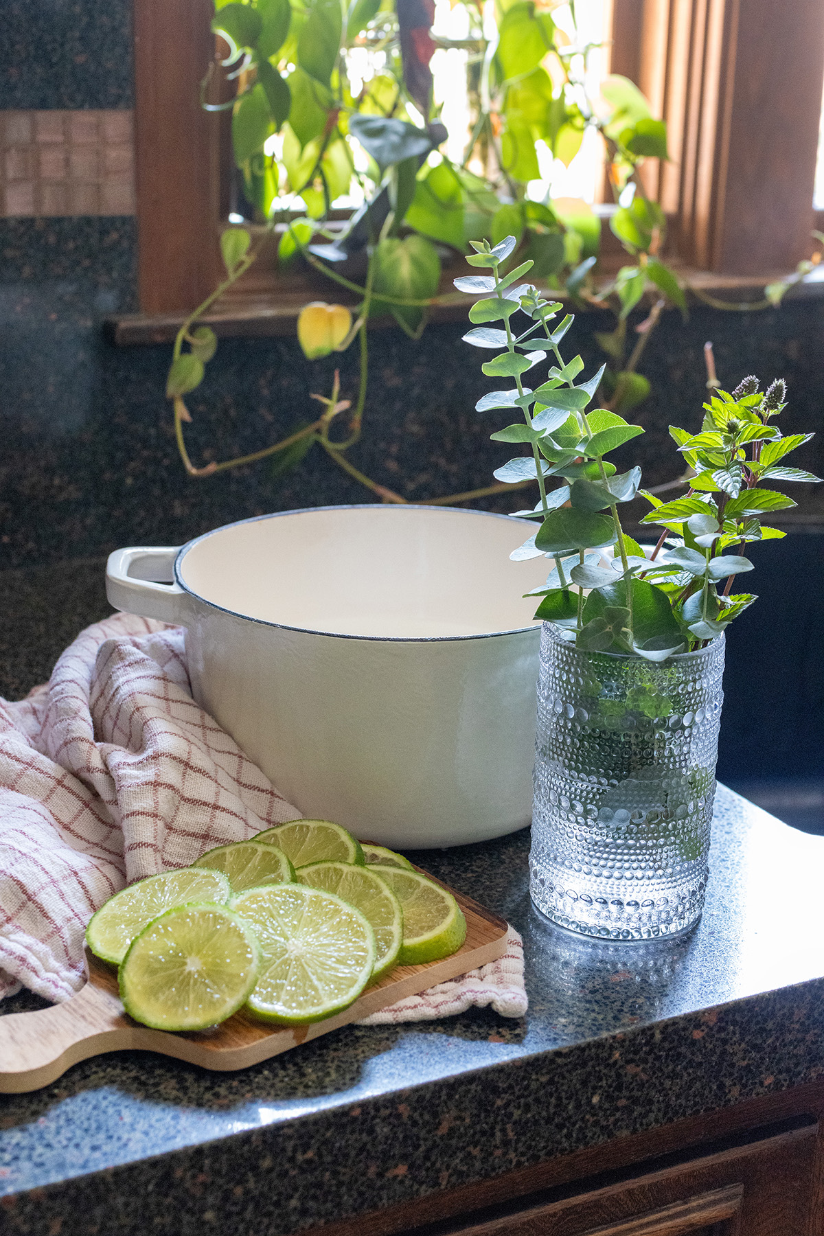 Summer Mint, Eucalyptus, Lime Potpourri Simmer Pot