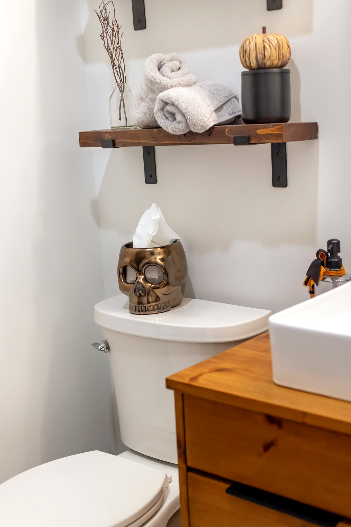 Halloween Skull Tissue Holder