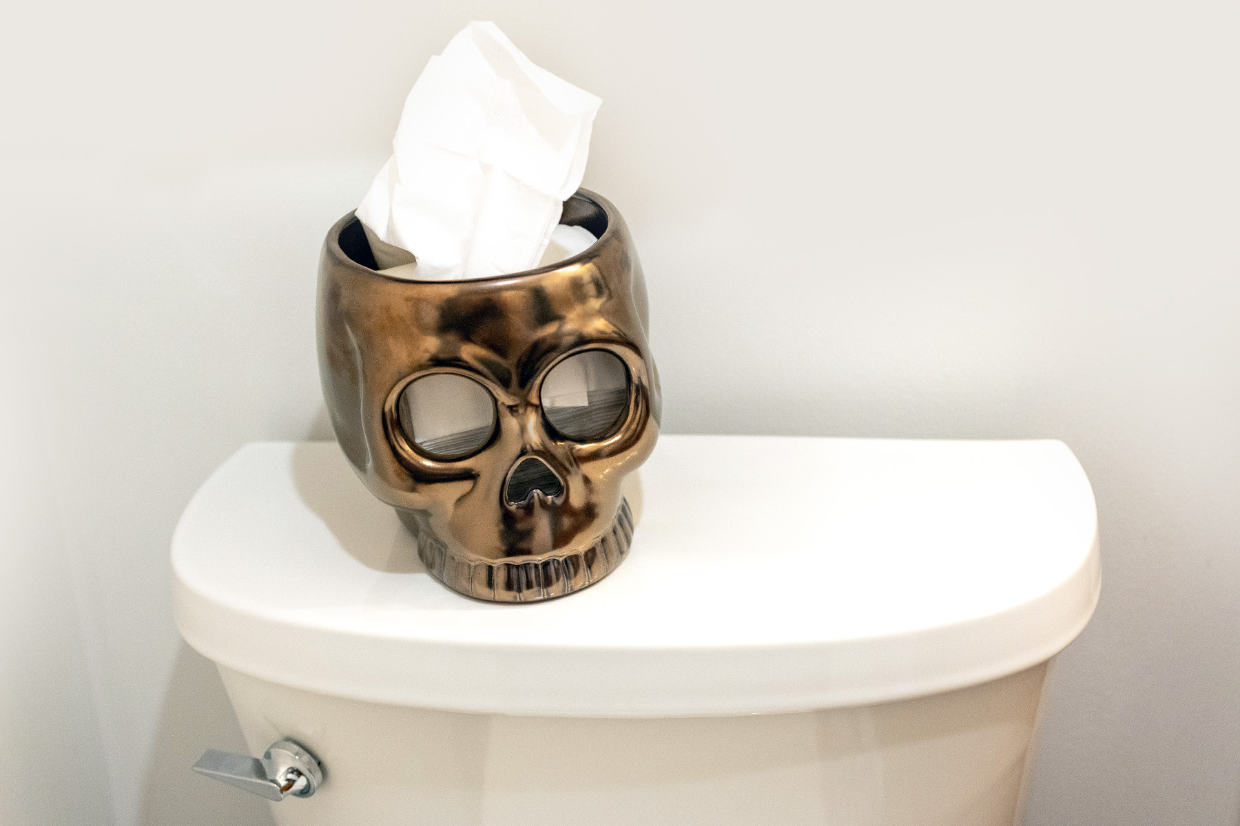 Skull Tissue Holder