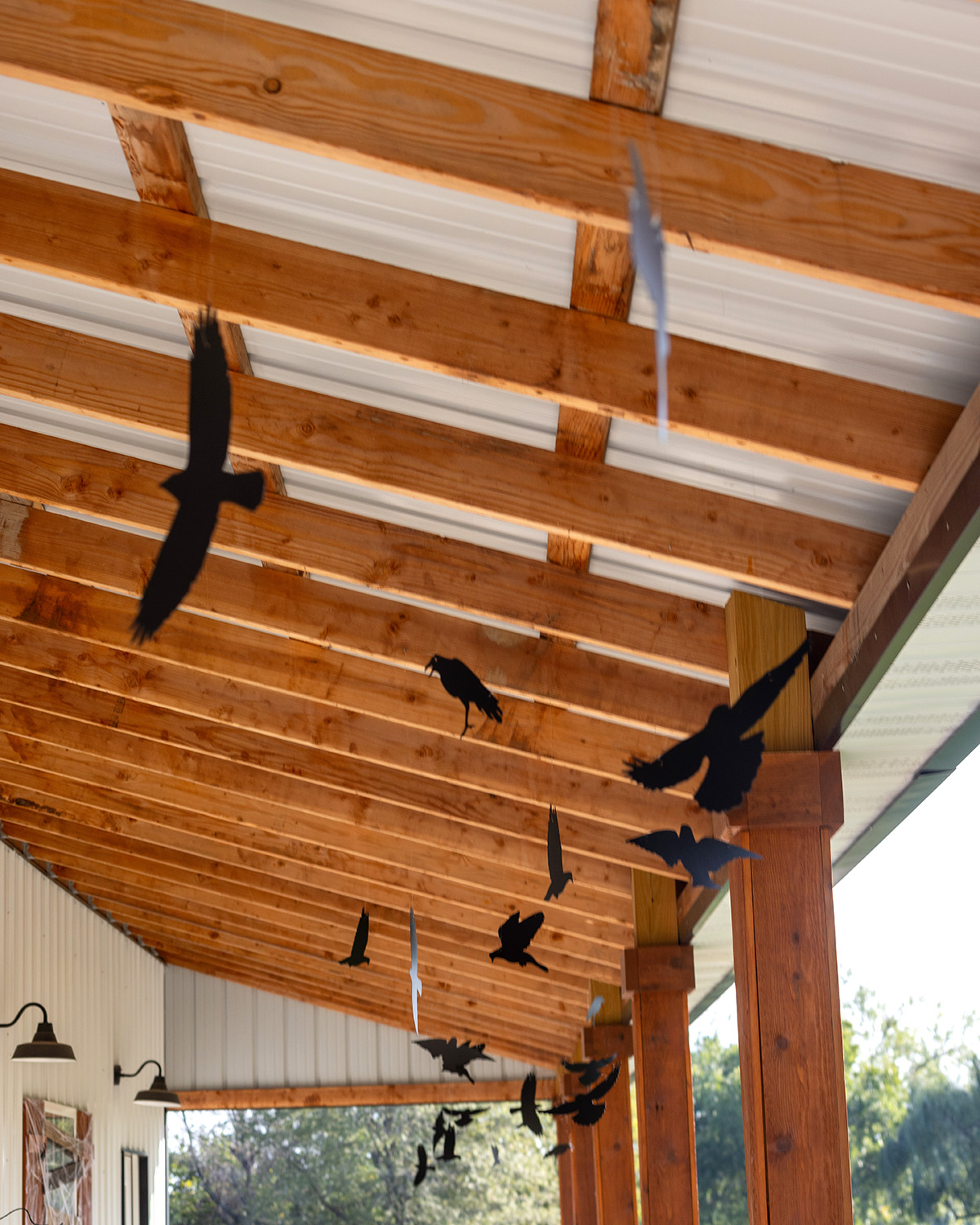 2023 Halloween Barn | Flying Crows