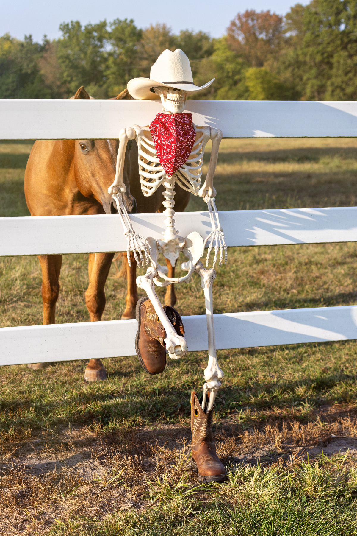 Blake Skelton | Farm Horses