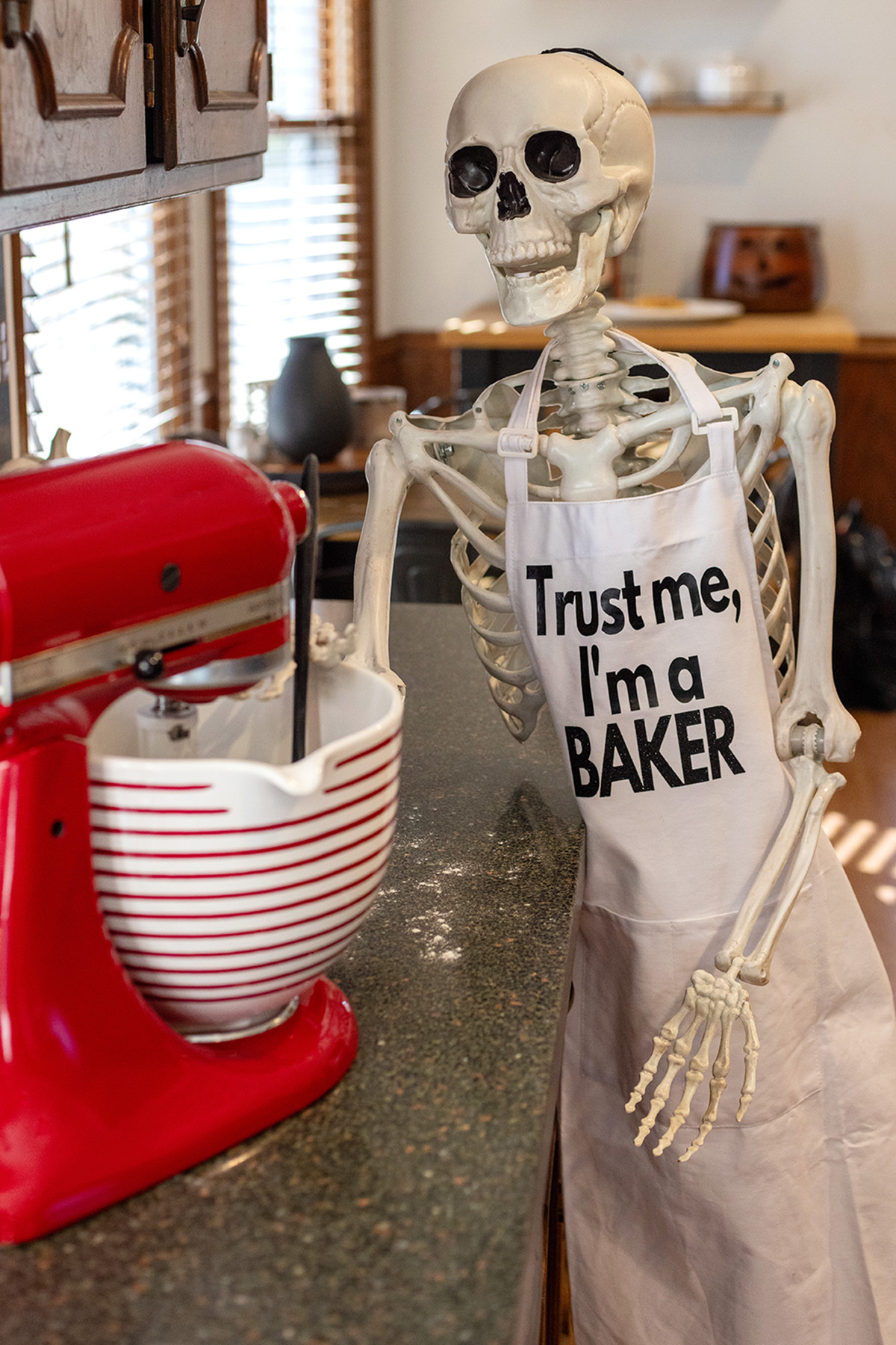 Blake Skelton | Trust Me, I'm a Baker