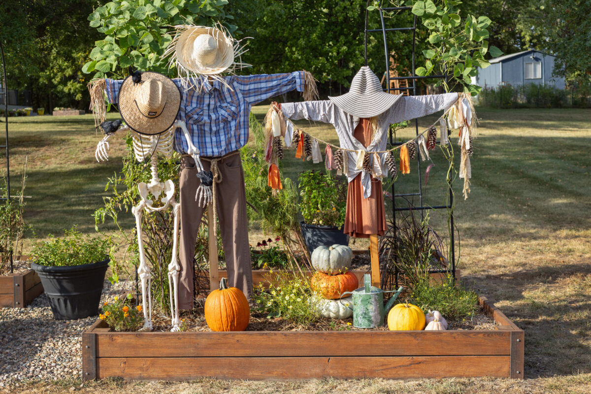 Blake Skelton | Garden Scarecrow