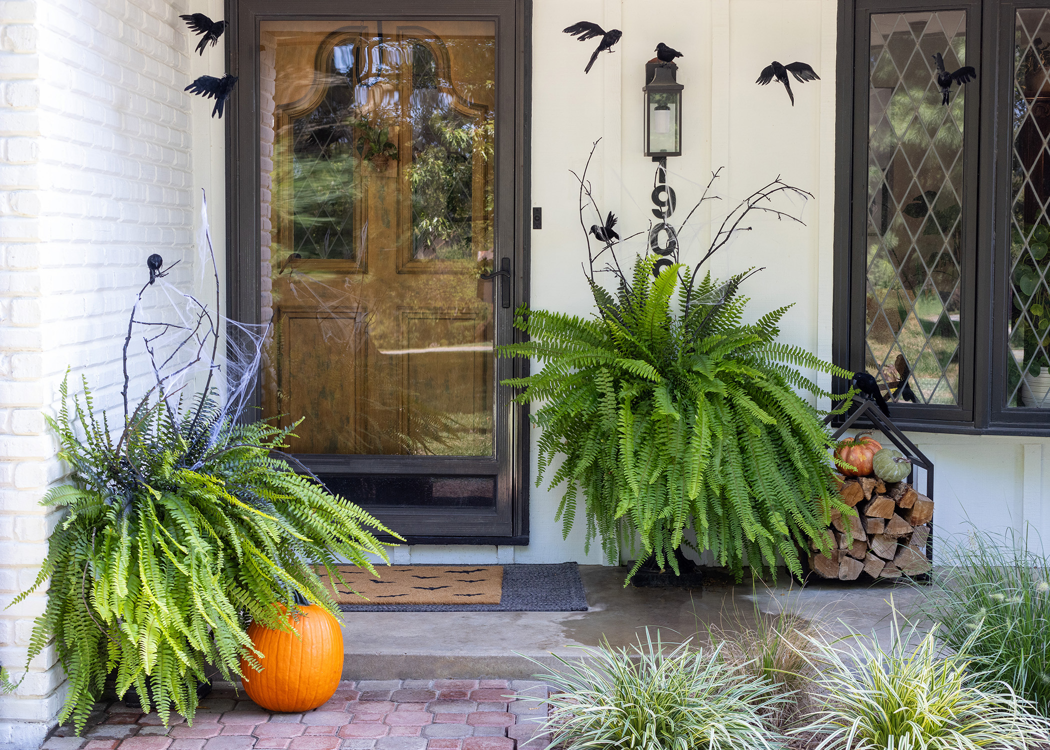 Halloween Front Porch Ferns