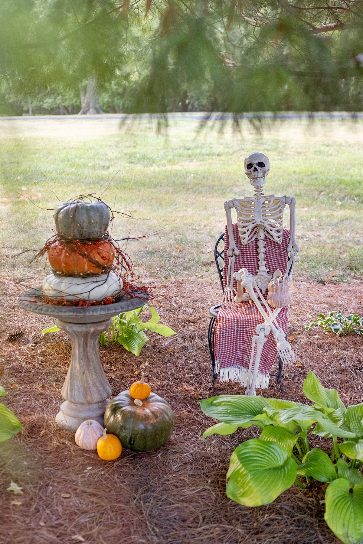 Blake Skelton Fall Hosta Garden Relaxing