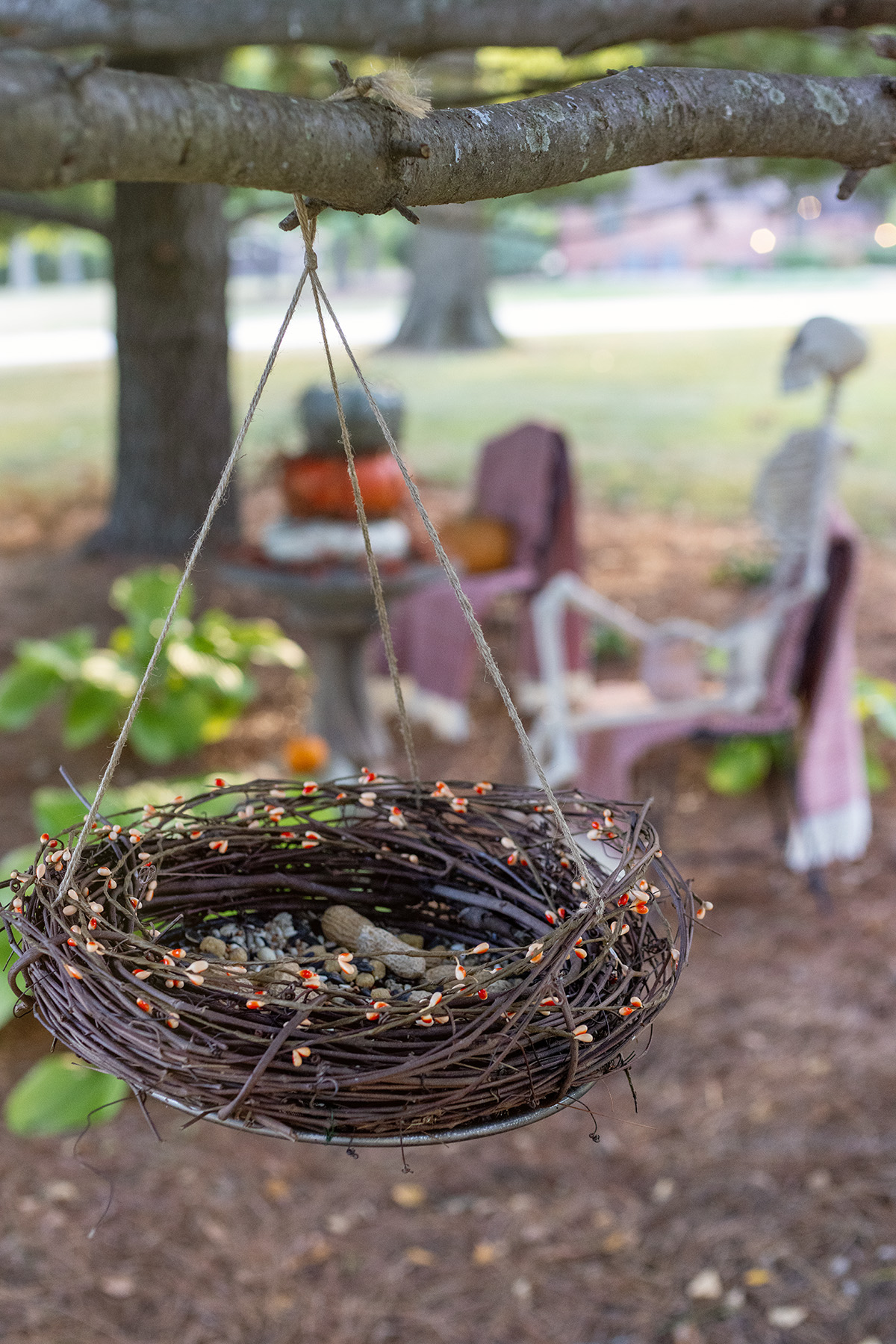 Blake Skelton | Fall Hosta Garden