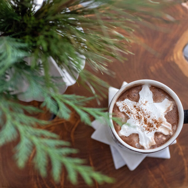 Frozen Cookie Cutter Snowflake