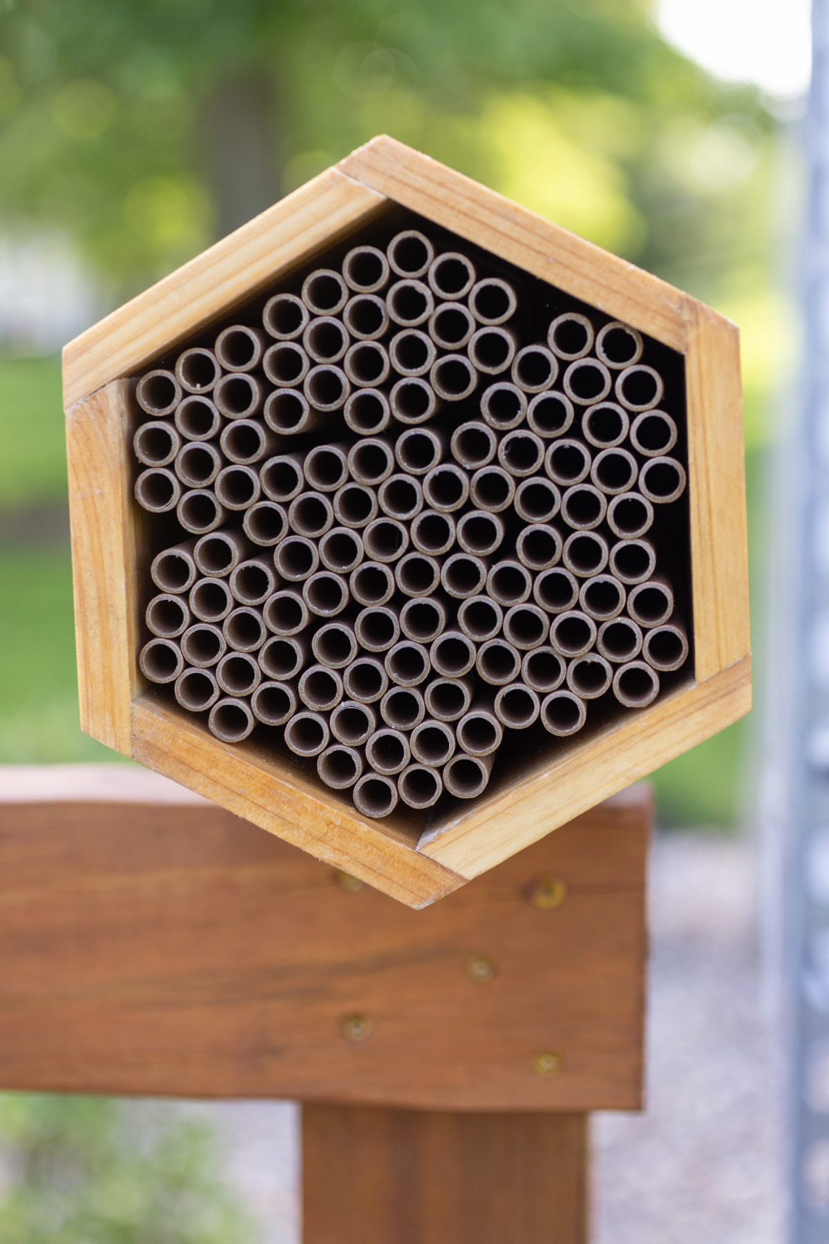 Bee Hotel