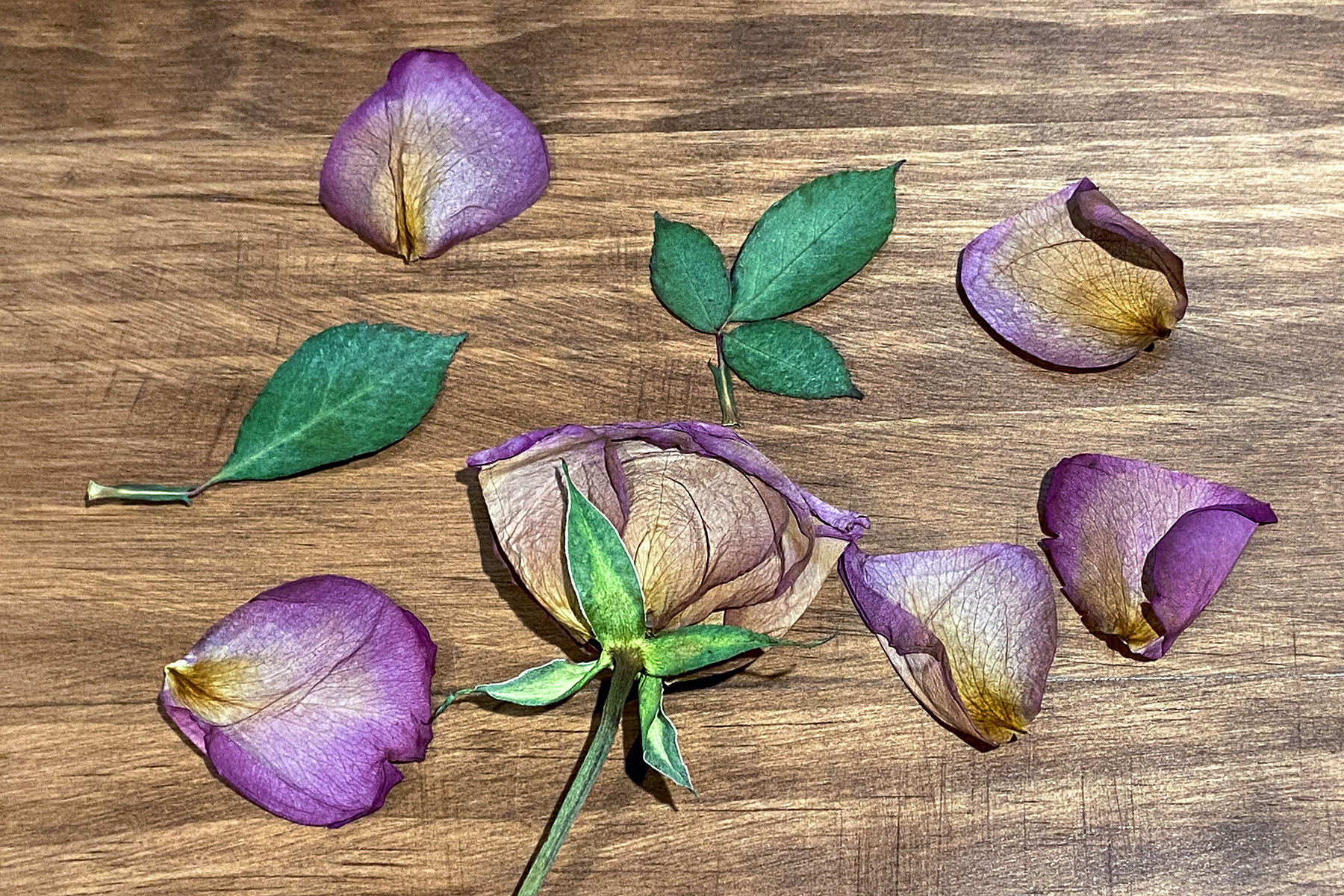 Funeral Pressed Flower DIY