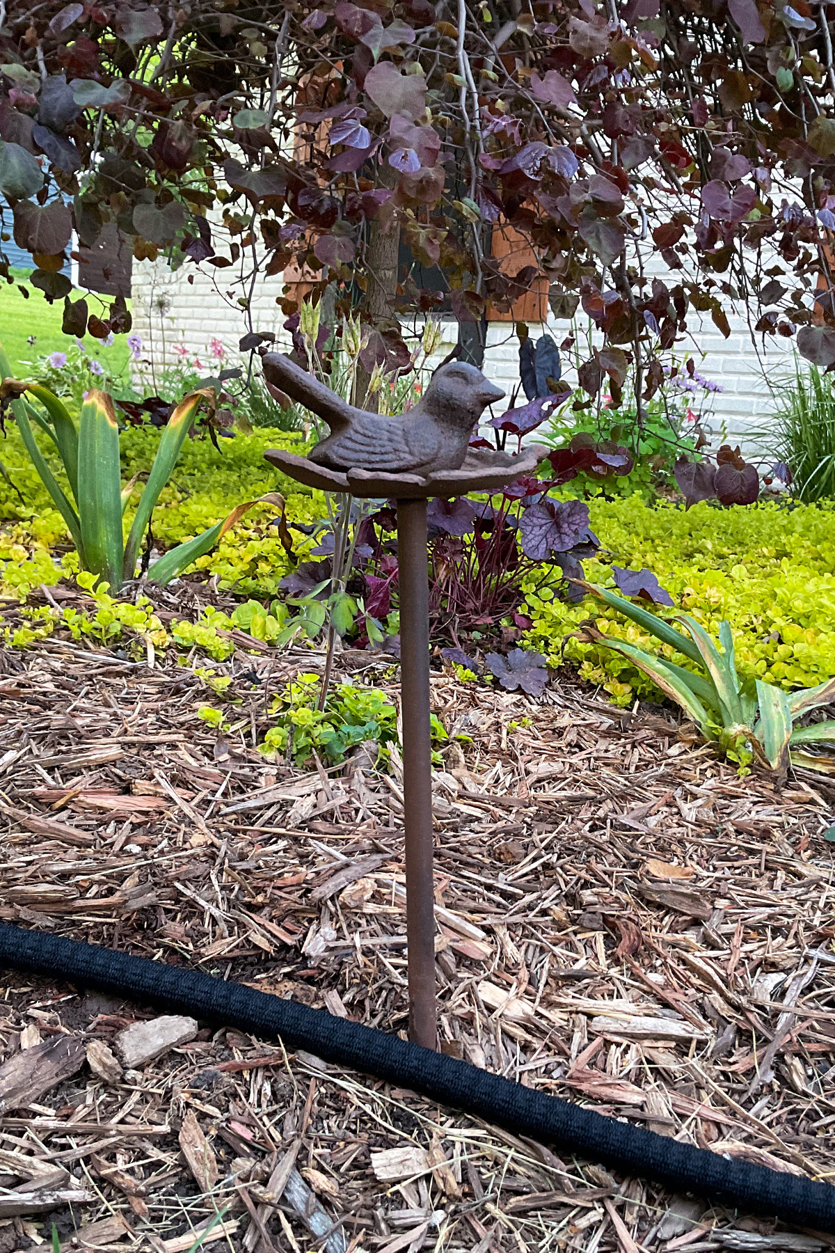 Iron Flower Bed Hose Stake