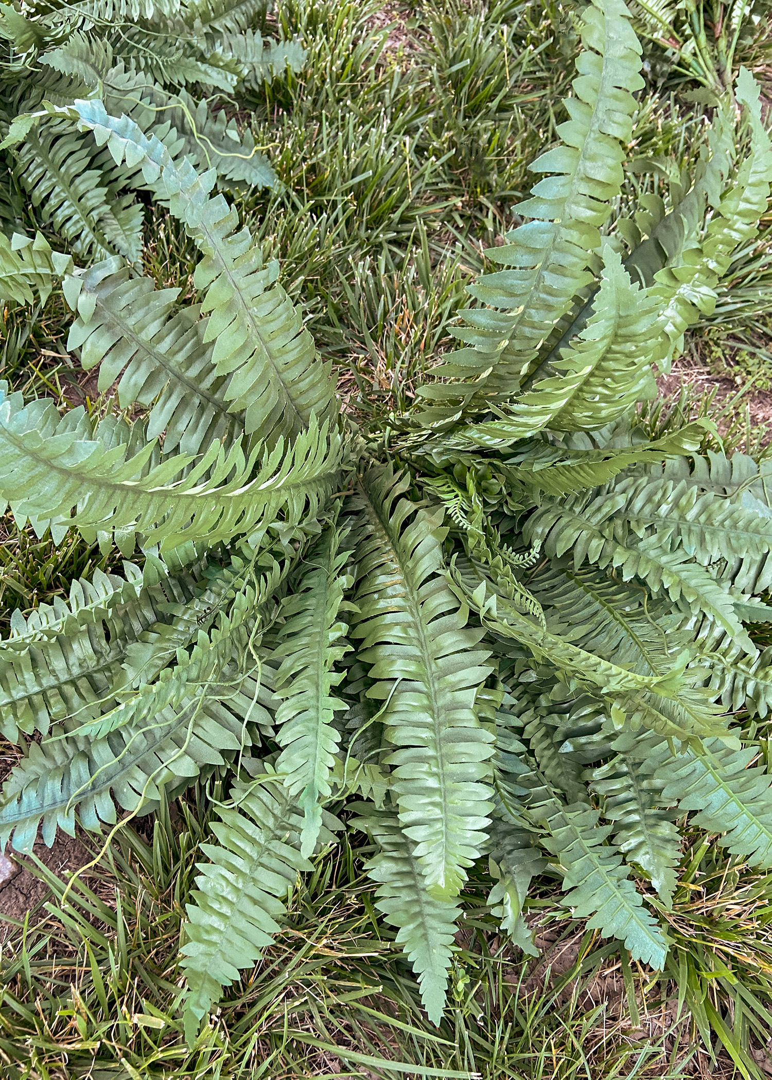 Spray Painting Sun Bleached Faux Ferns | After