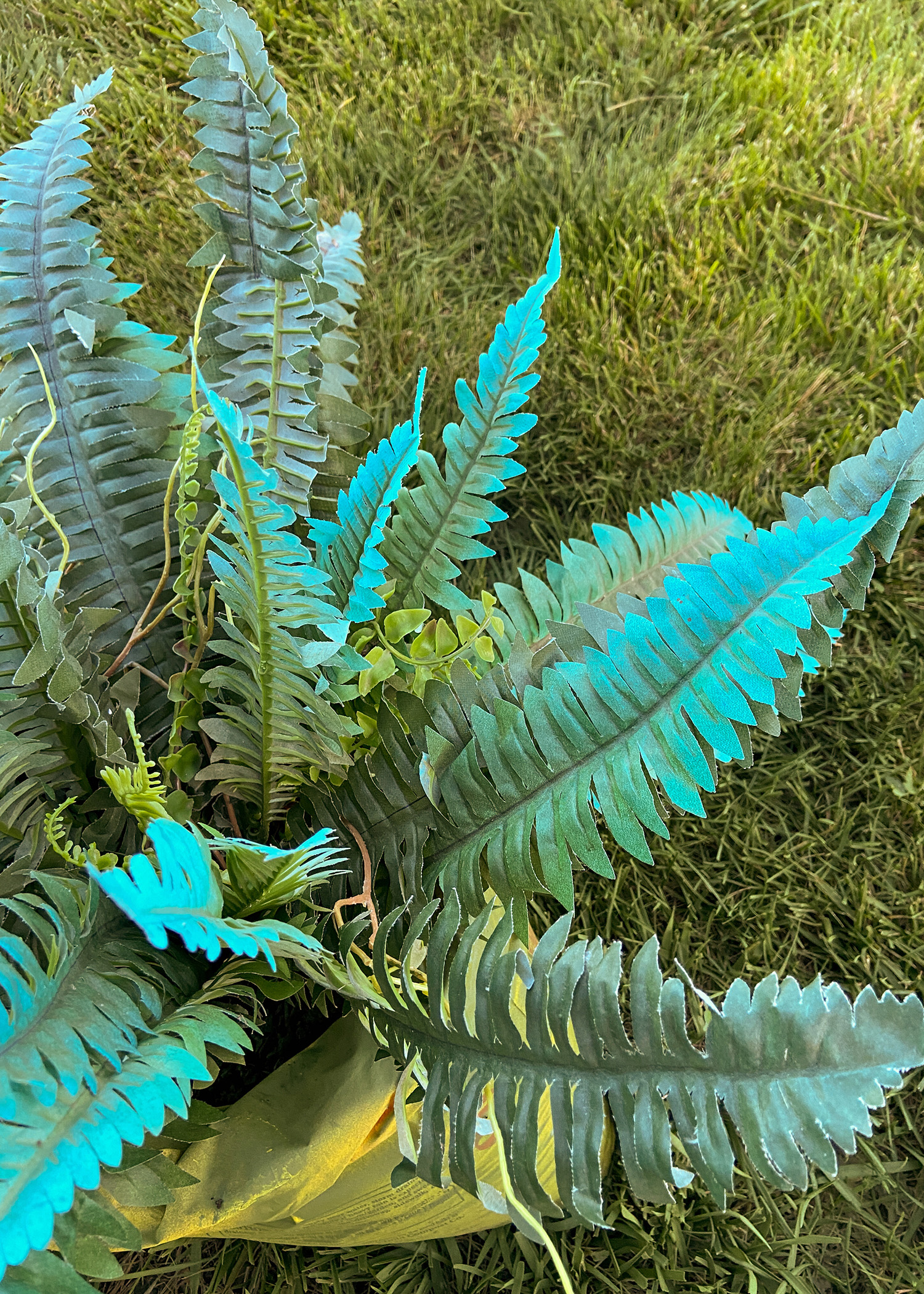 Spray Painting Sun Bleached Faux Ferns | Before